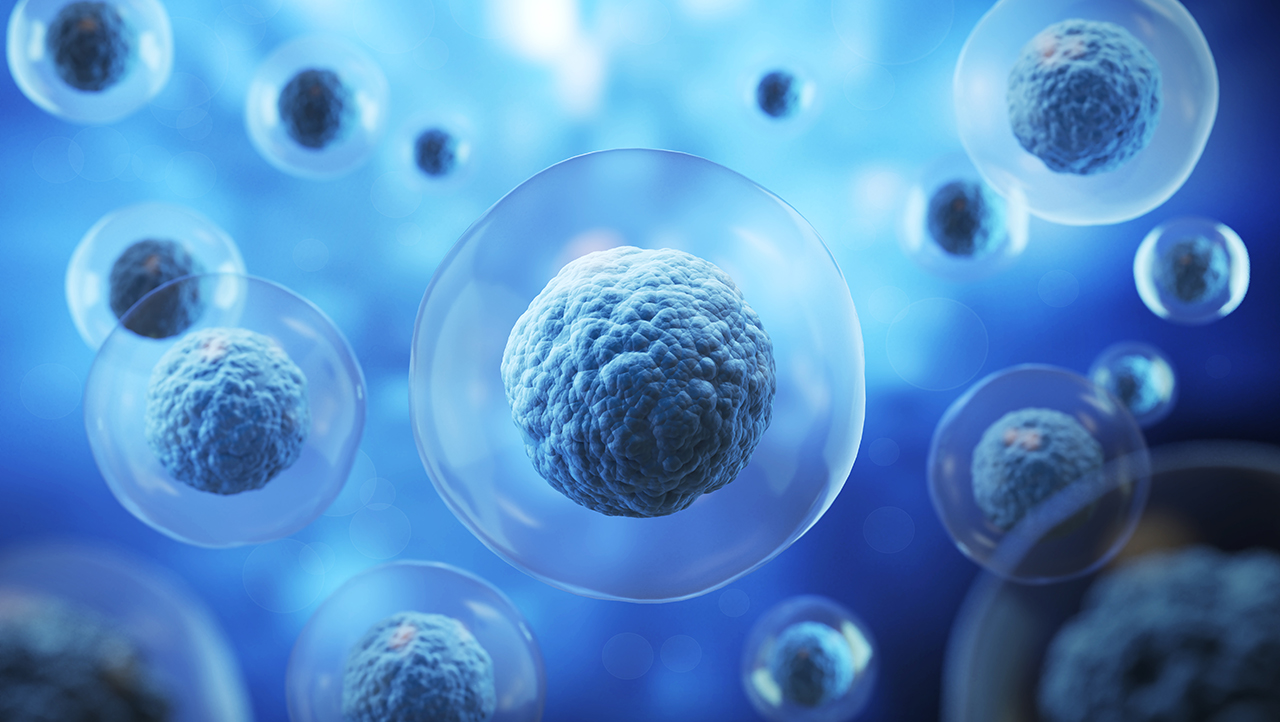 GettyImages-1626470215