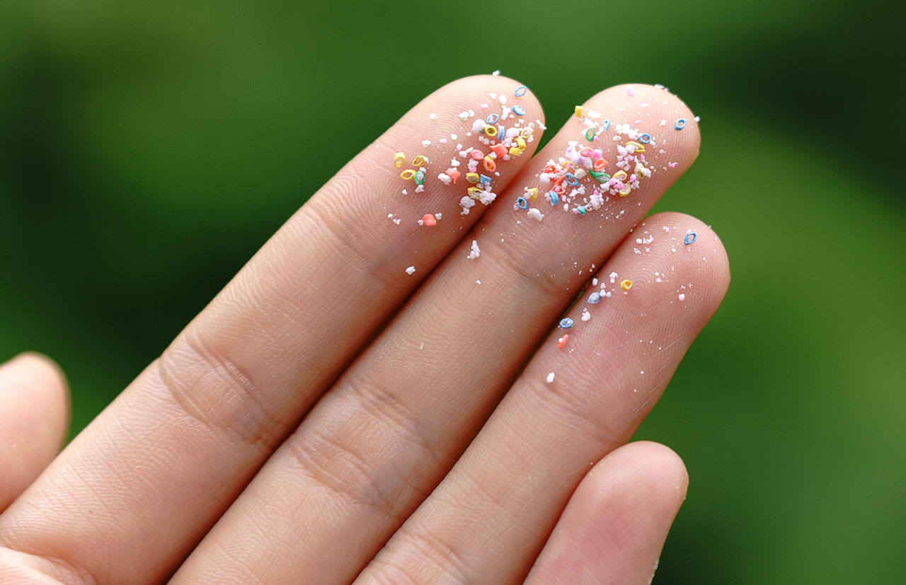 microplasticsupdatephoto